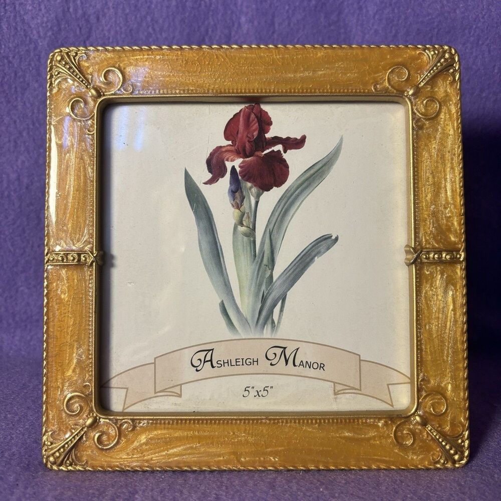 Ashleigh Manor Metal Ename Yellow Gold Tone Filigree Picture Frame 5x5